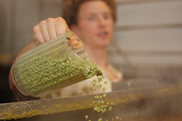 Hops being poured into a boiling mash to make beer
